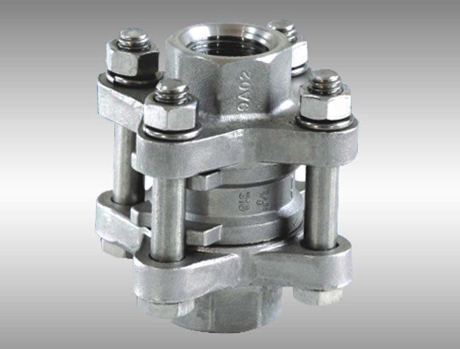 3 PC-Spring Vertical Check Valve