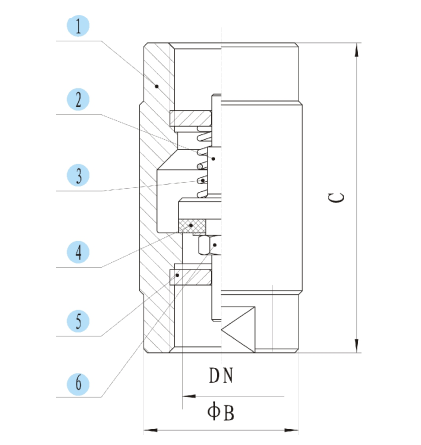 1-PC Spring Vertical Check Valve