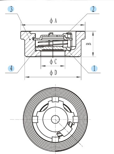 Disk Check Valve